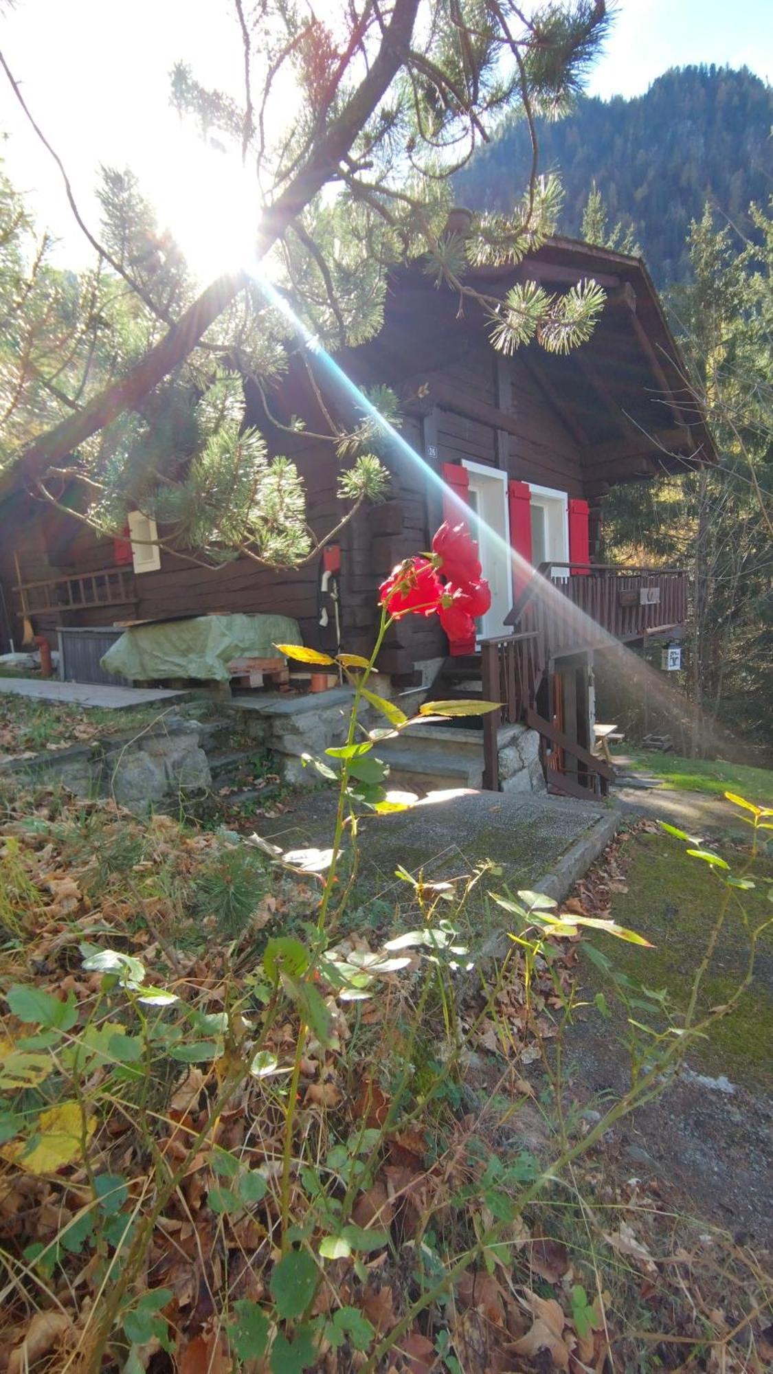 Petit Chalet Rustique Et Bucolique Bovernier Ngoại thất bức ảnh